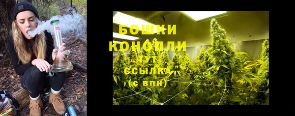 крисы Аркадак