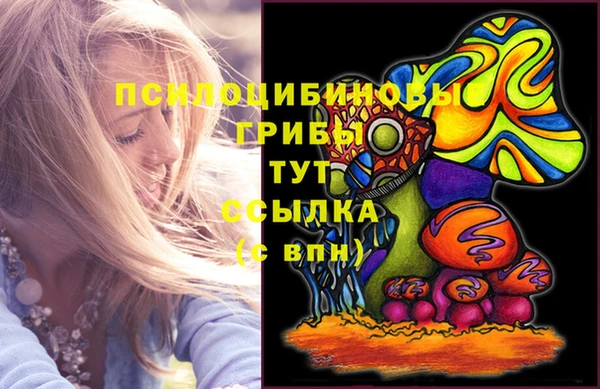 сатива Баксан